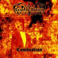 Annexed Asylum : Combustion